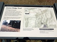 Devil tower (78).JPG